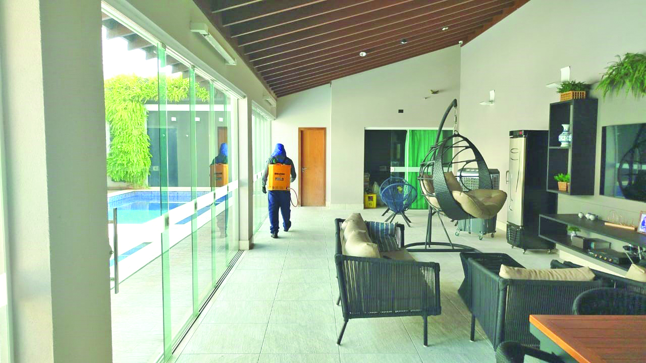 Procura por dedetização contra escorpiões cresce 50% no início do ano na Capital