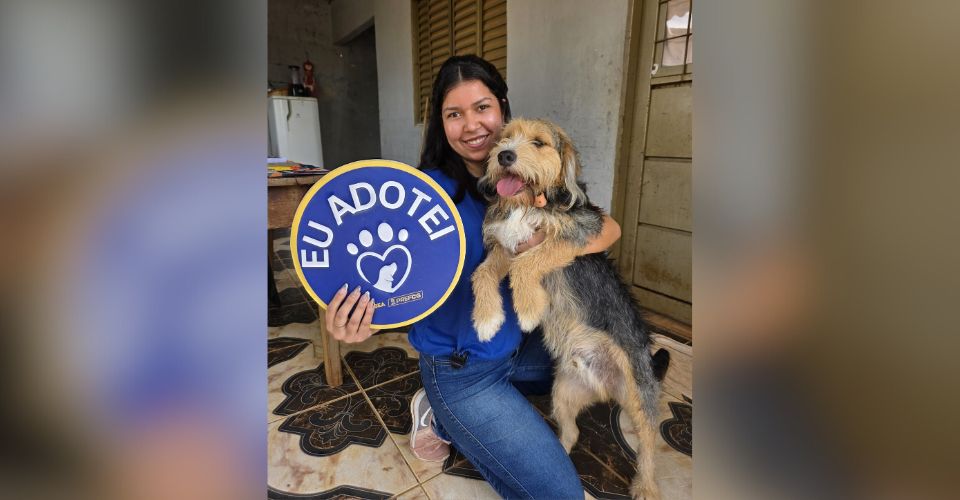 Subea realiza ação de adoção de cães neste domingo (08)