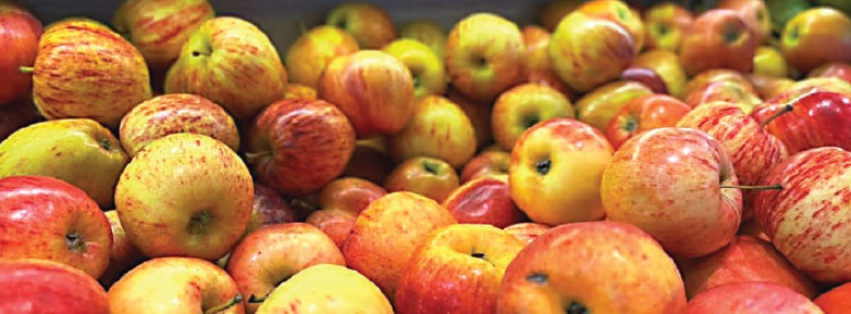 Maçã lidera ranking e registra variação de 128% na cesta básica da semana