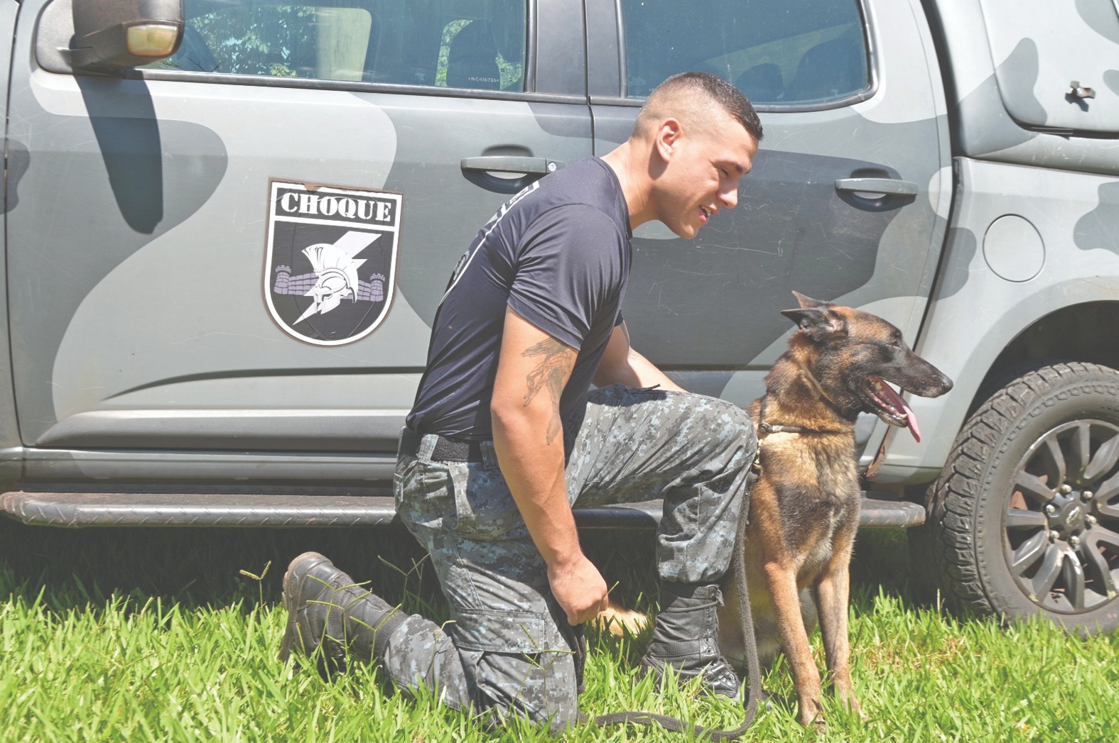 Parceria e disciplina: cães do Choque se tornam aliados estratégicos em operações