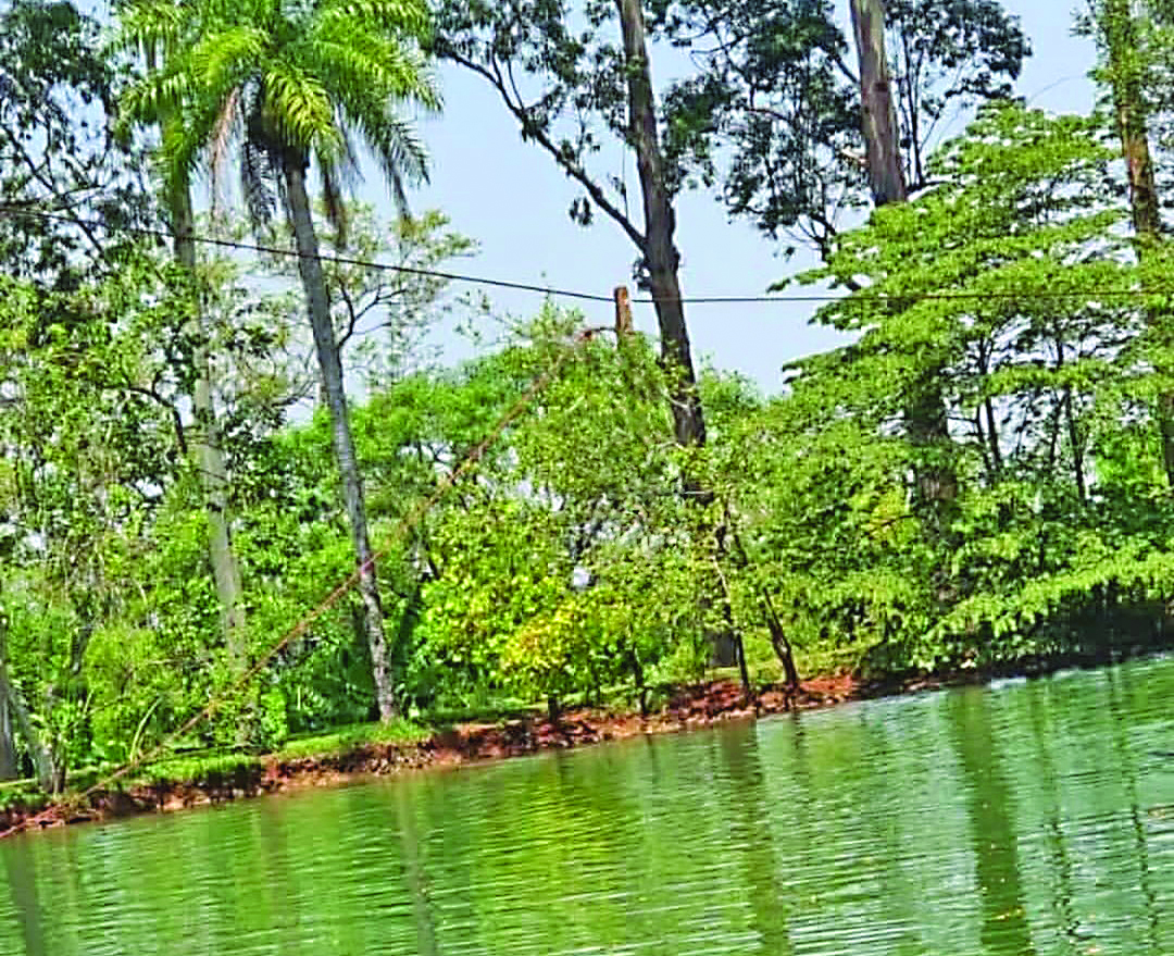 MS soma nove acidentes envolvendo choque elétrico e Bombeiros alertam para riscos em áreas molhadas