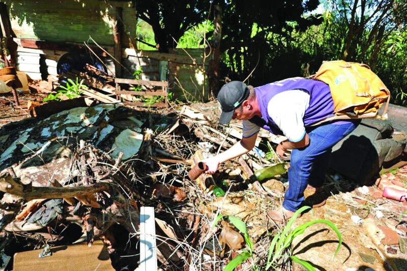 Para frear chikungunya, Dourados aposta em armadilha e reforço de equipe de endemias