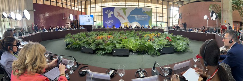 Evento reúne alto escalão do governo e marca início da COP 15 em Campo Grande