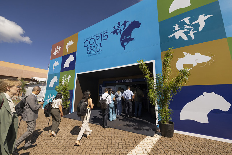 Brasil lidera sete propostas para ampliar lista de espécies protegidas na COP15