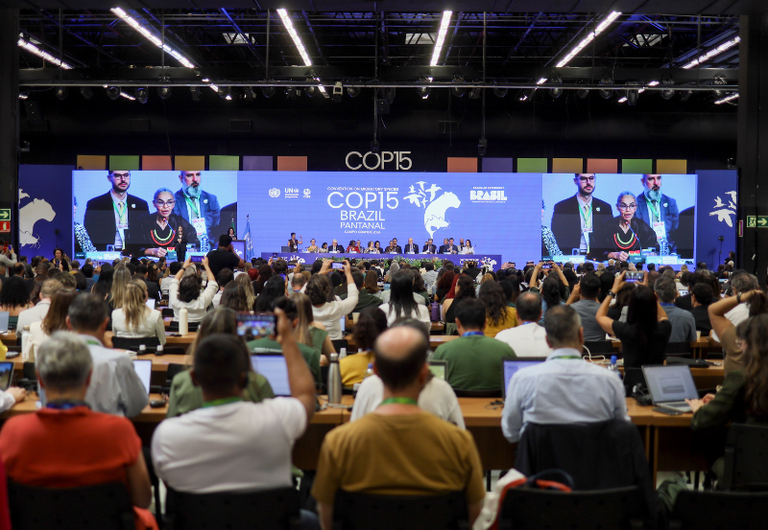 Plenária final da COP-15 realizará assinatura de acordos e apresentação de resutados neste domingo na Capital