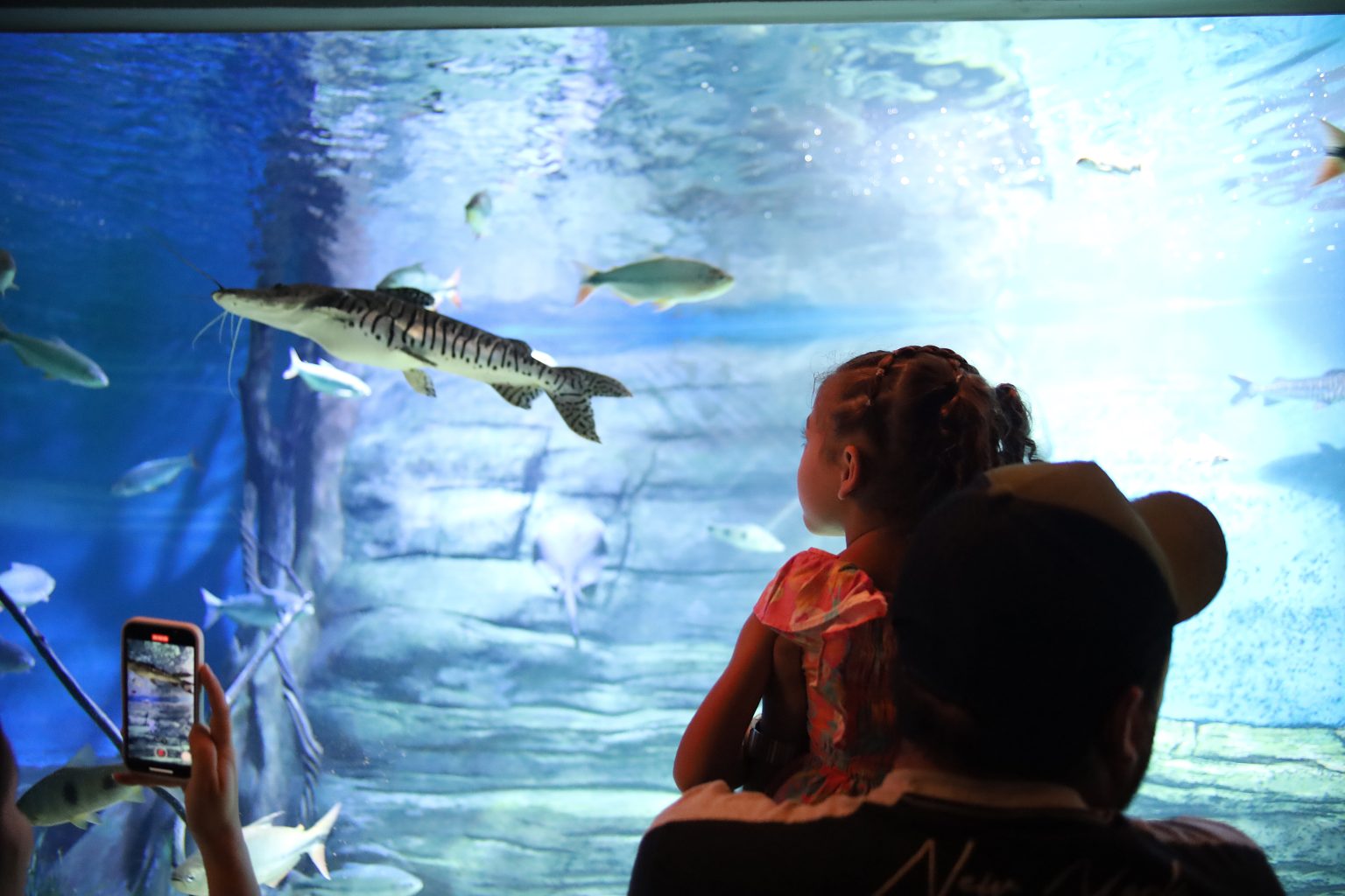 Bioparque Pantanal completa quatro anos e reforça papel como referência em turismo e conservação