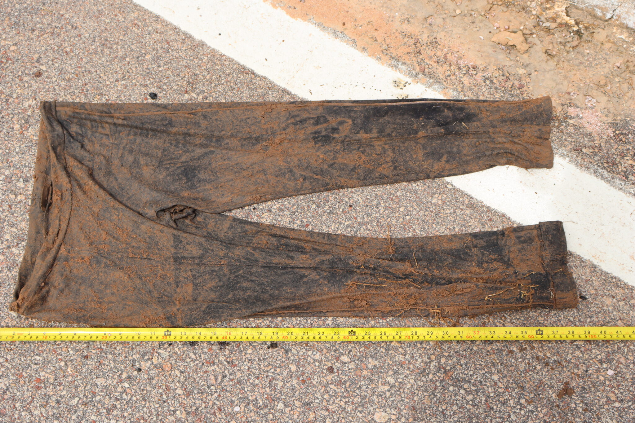 Ossada humana é encontrada às margens de rodovia em MS