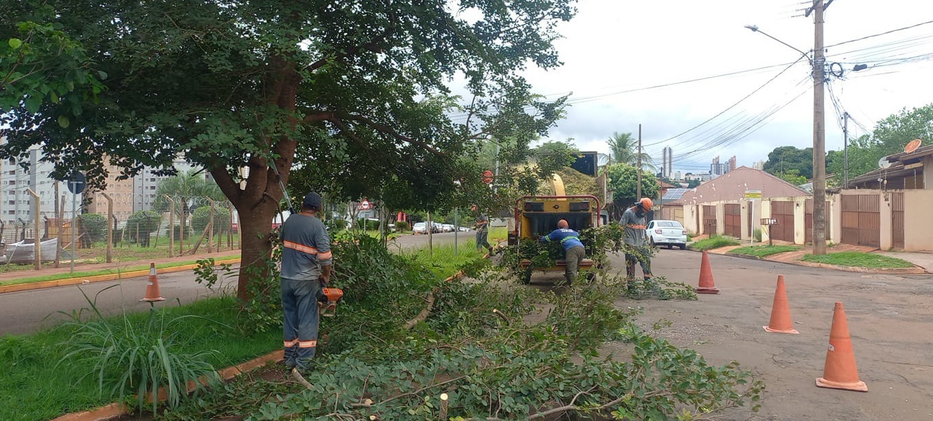 Sisep remove 115 árvores e intensifica poda preventiva na Capital