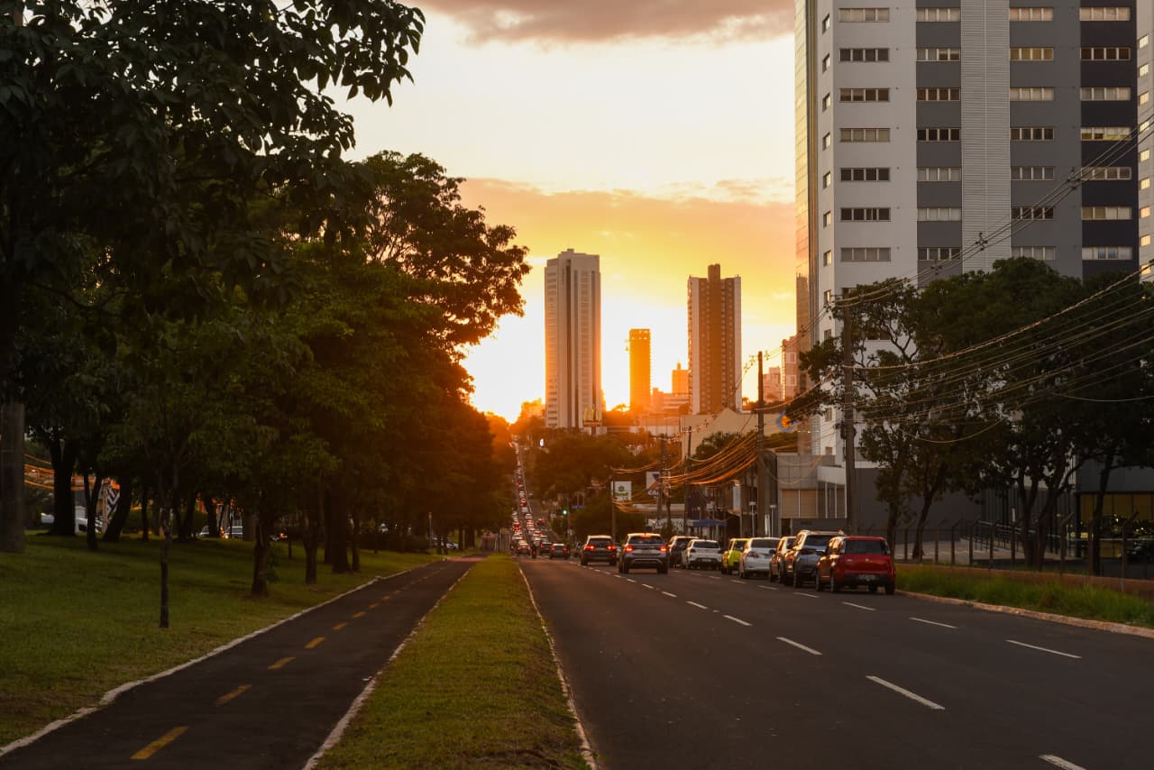 Campo Grande mantém título de Cidade Árvore do Mundo pelo sétimo ano consecutivo