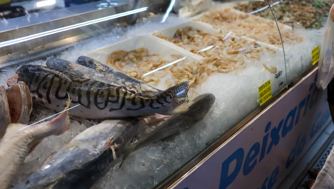 Vigilância Sanitária orienta sobre compra de pescado na Semana Santa