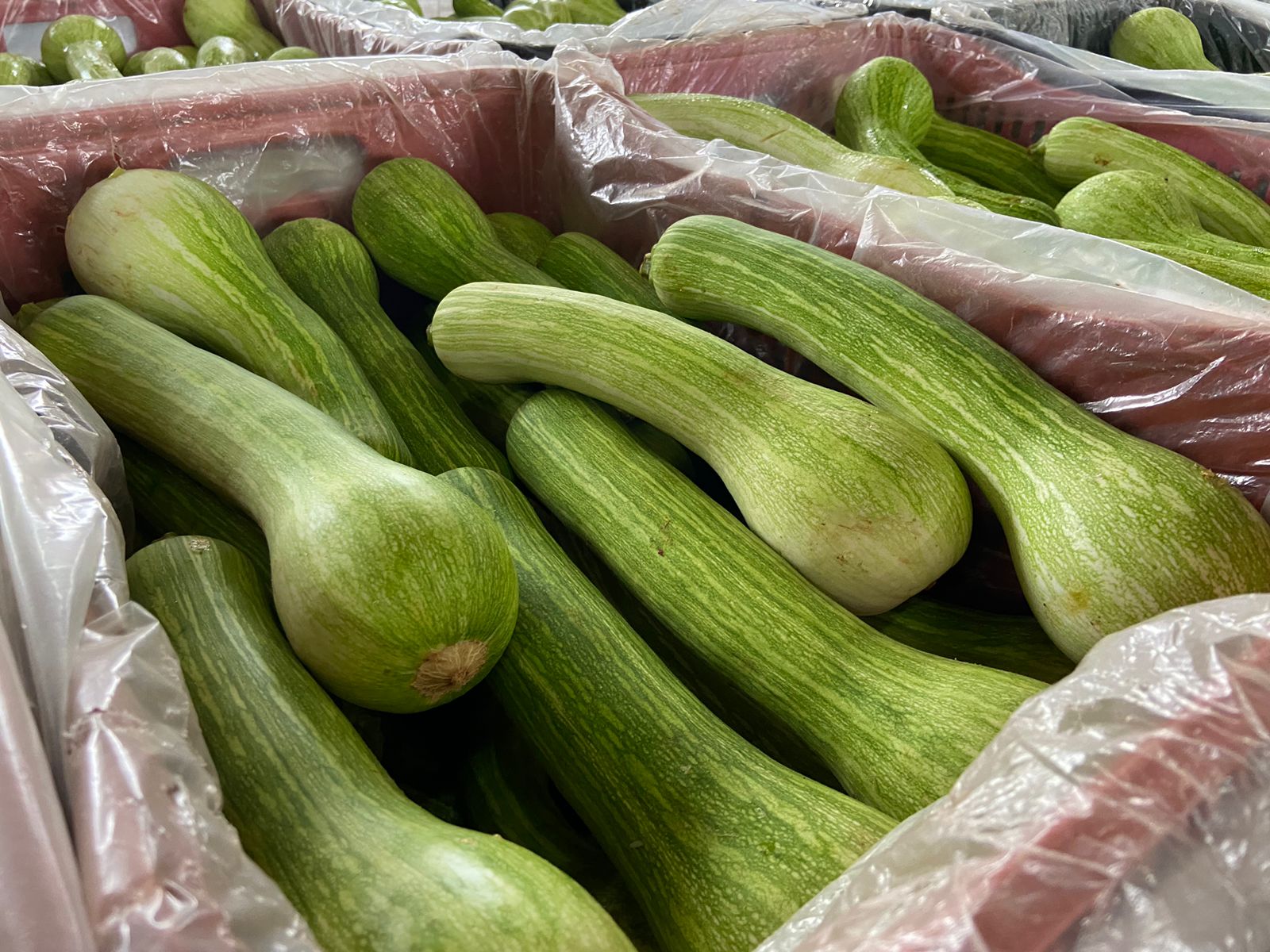 Abobrinha sobe 14% e puxa alta de hortifrutis na Ceasa da Capital