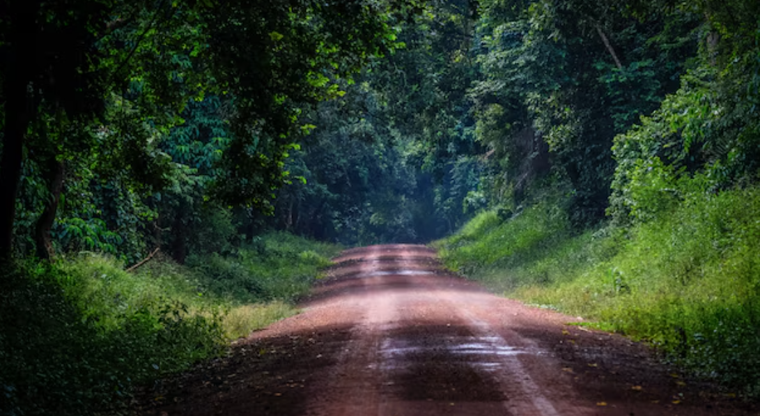 Mulher é encontrada morta com perfuração na cabeça na região da cachoeira do Inferninho