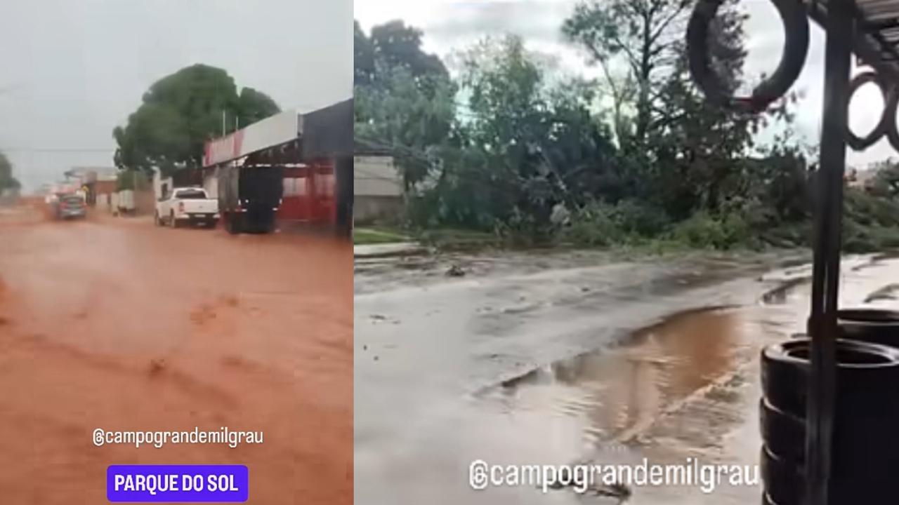 Chuva rápida provoca alagamentos e queda de árvore na região do Anhanduizinho