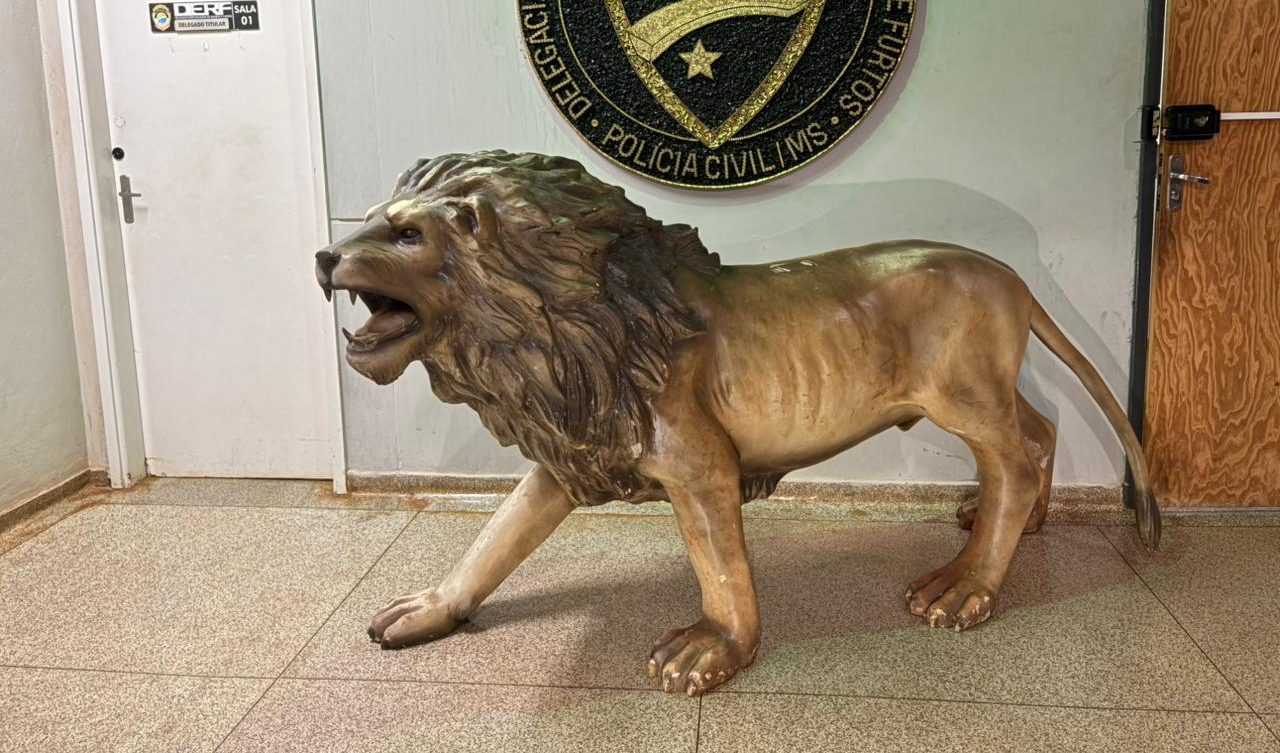 Ecstasy e maconha foram encontrados com suspeito de receptação do “leão” furtado na Capital