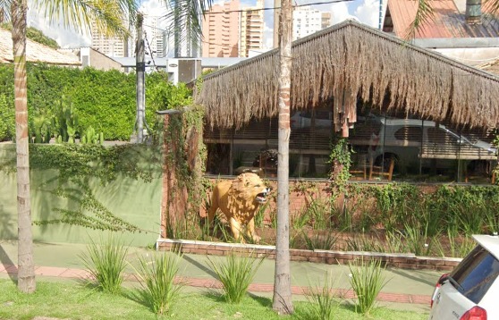 Homem flagrado com estátua leão furtada é autuado por tráfico de drogas e recepção em Campo Grande