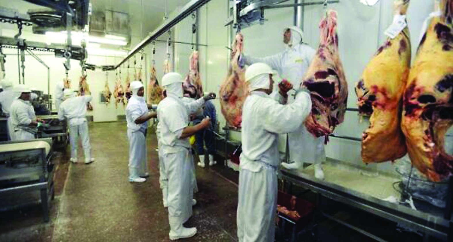 Boi gordo em alta muda estratégia da indústria e provoca férias coletivas