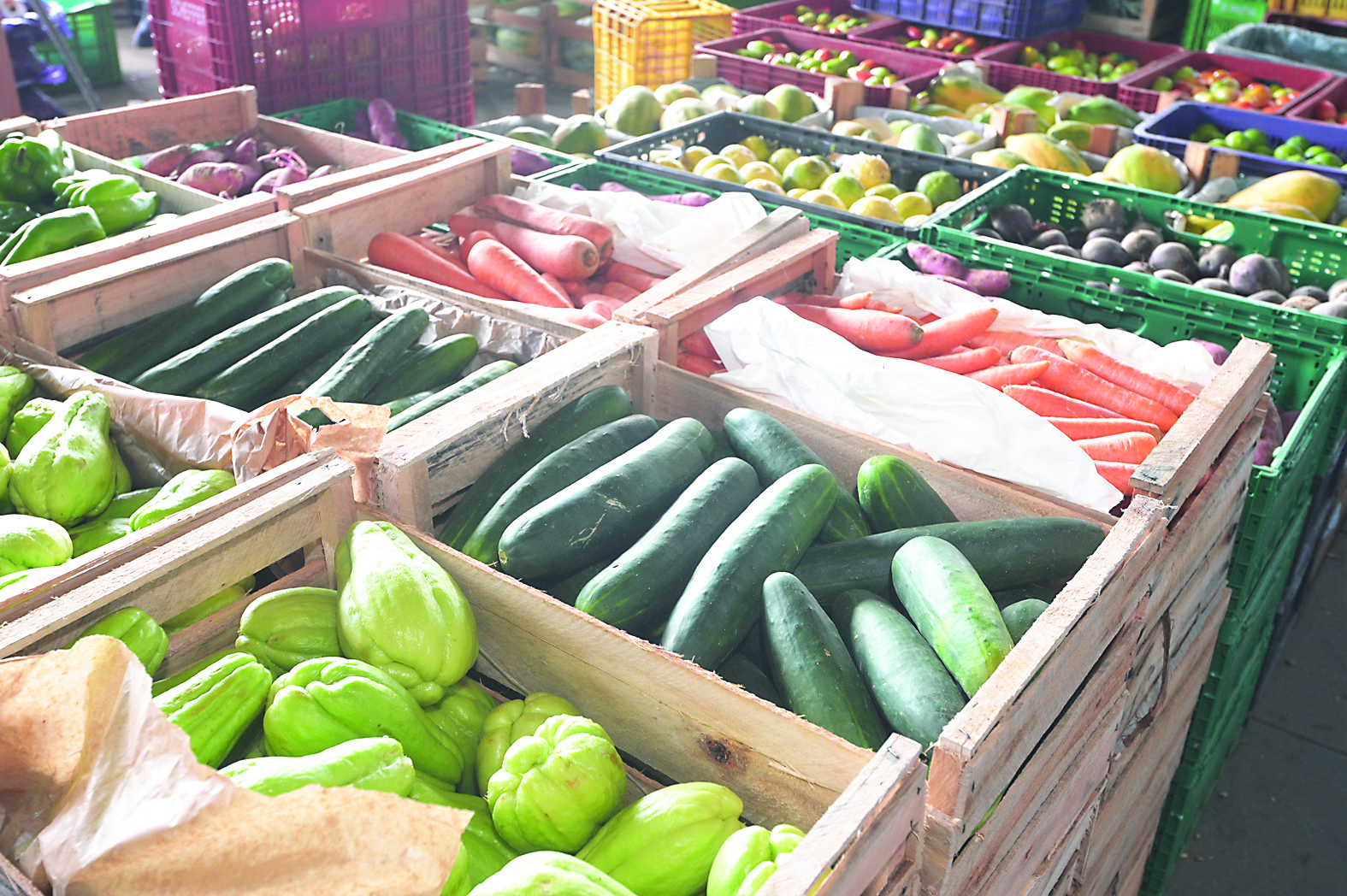‘Pratos quentes’, clima movimenta vendas de verduras e legumes