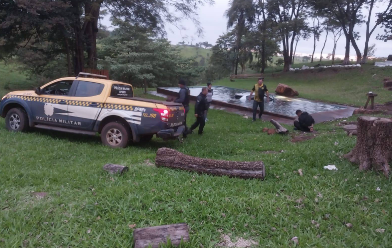Identificada mulher que morreu após carro cair em piscina durante perseguição policial