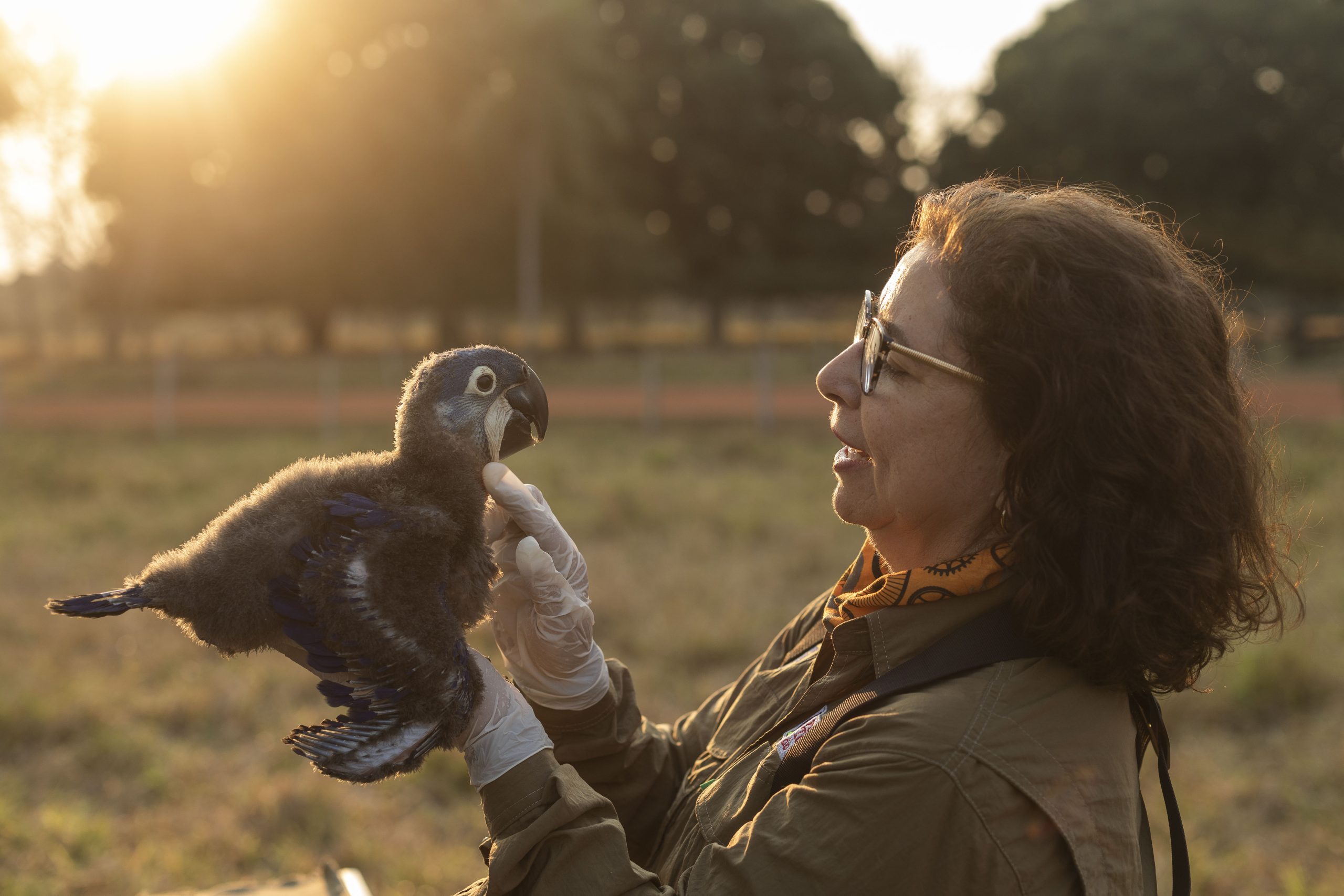 Bioparque Pantanal recebe congresso nacional sobre conservação ambiental