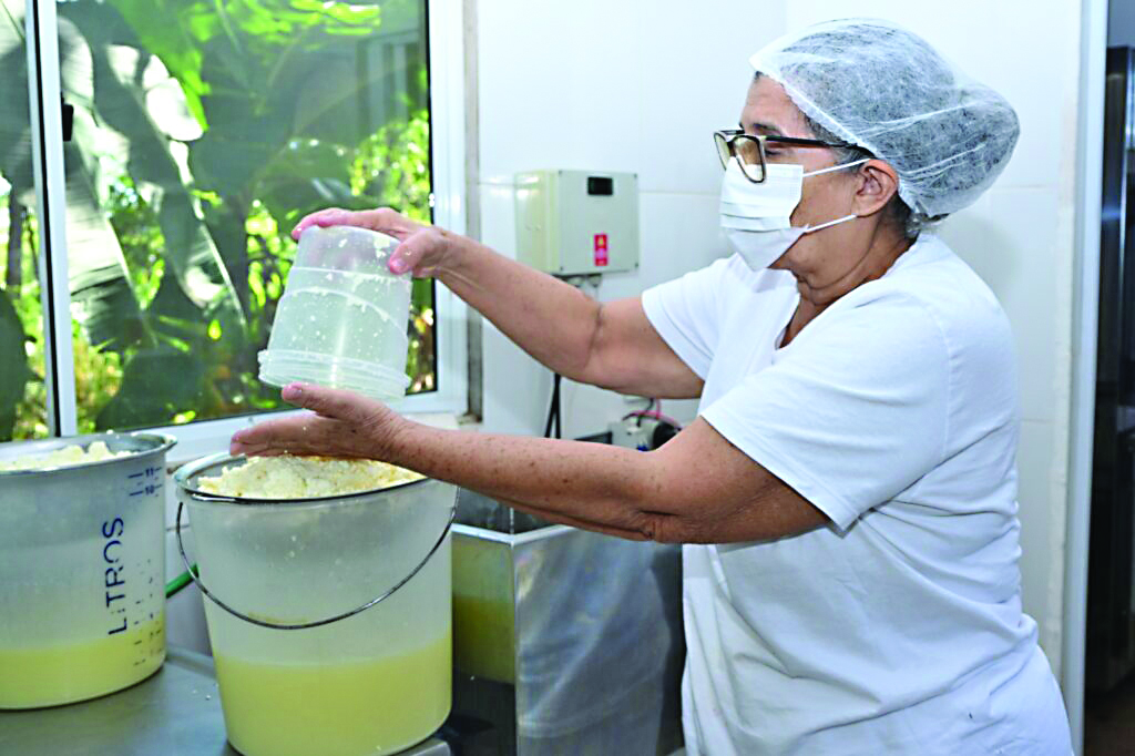 9ª Festa do Queijo: produtores de Rochedinho reforçam ordenha de cerca de 70 litros diários de leite