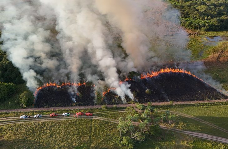 Imasul e Corpo de Bombeiros reforçam prevenção a incêndios com manejo integrado do fogo no Pantanal