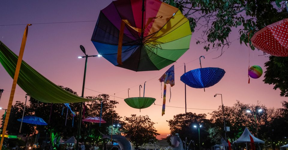 Foto: Divulgação/Elis Regina-Flib