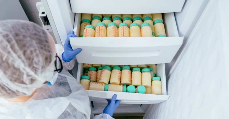 Foto: reprodução/Internet