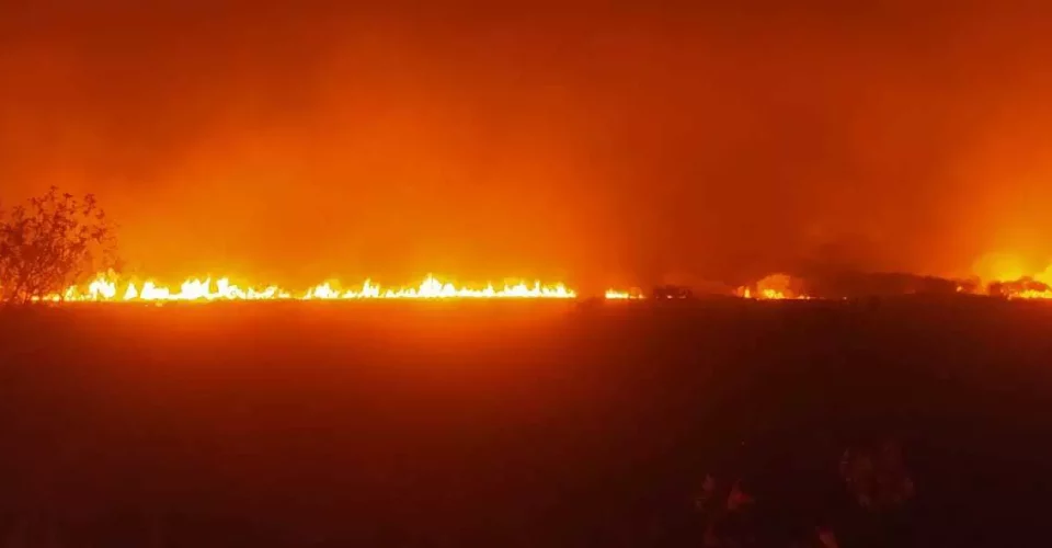 Avanço do incêndio no Pantanal prejudica o combate aéreo