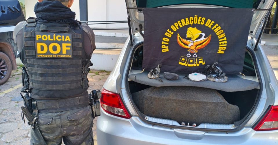 Foto: Divulgação/DOF