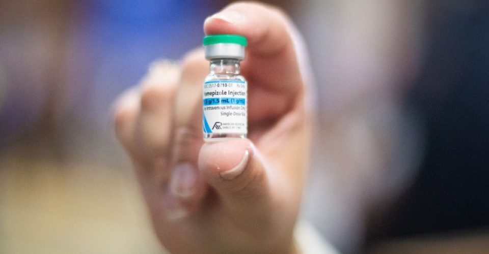 Foto: Rafael Nascimento/MS