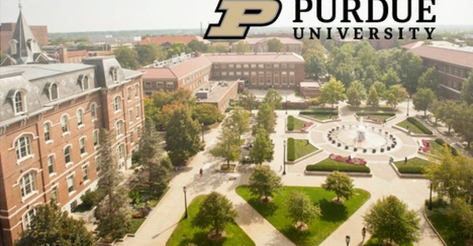 Foto: Montagem (Divulgação)