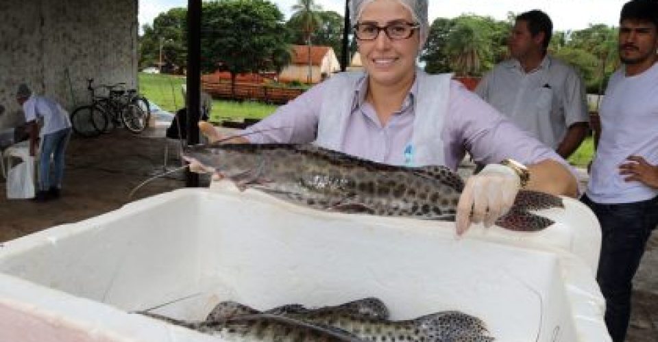 Foto: Divulgação/ Prefeitura de Três Lagoas.