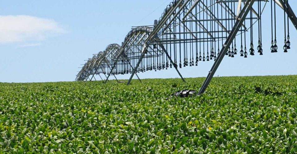 Produção agropecuária