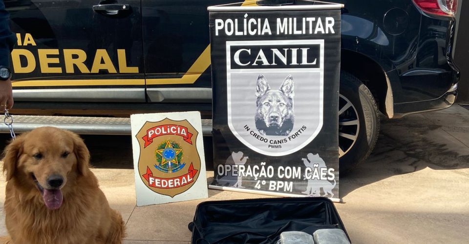 Fotos: Polícia Federal/ Divulgação