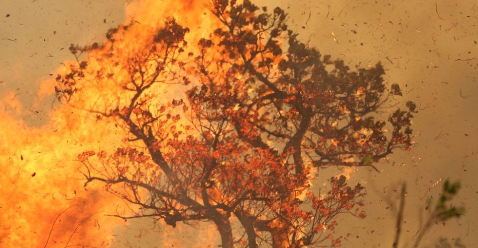 Inep aponta que queimandas na Amazônia já são históricas