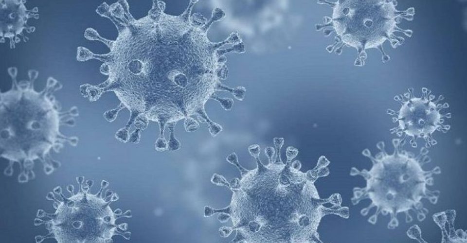 coronavirus virus covid-19 pandemia
