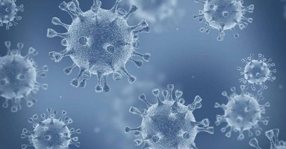 coronavirus virus covid-19 pandemia