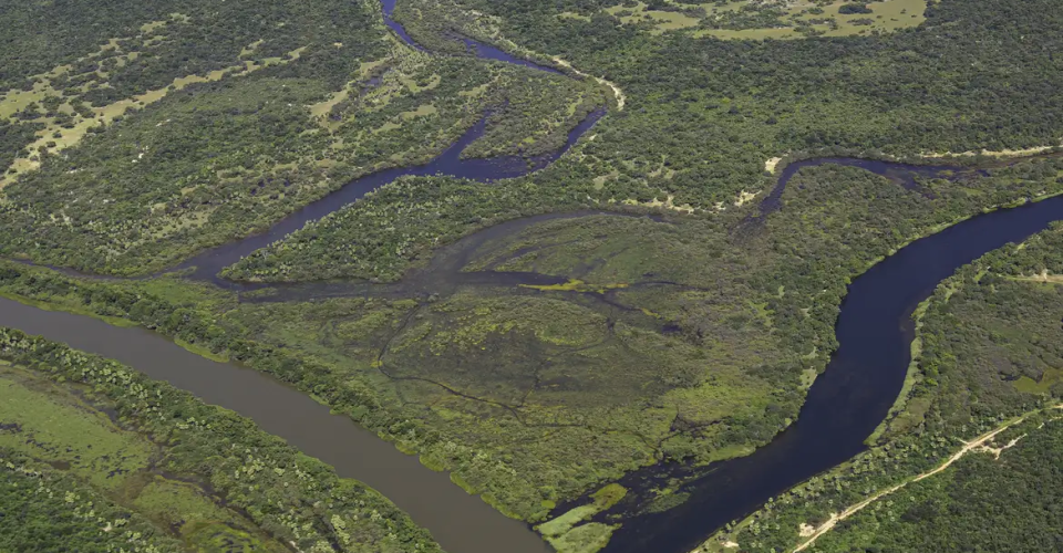 Foto: Thomas Bauer/ SOS Mata Atlântica