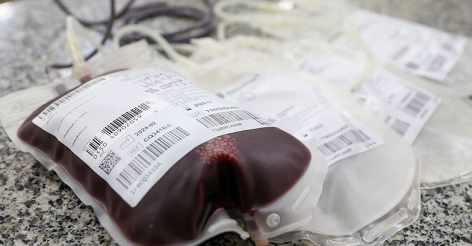 Foto: Foto: Decom / MPMS