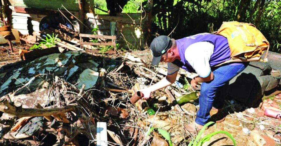 Equipes iniciaram
a instalação das
armadilhas para frear o
avanço da doença  - Foto: Prefeitura de Dourados