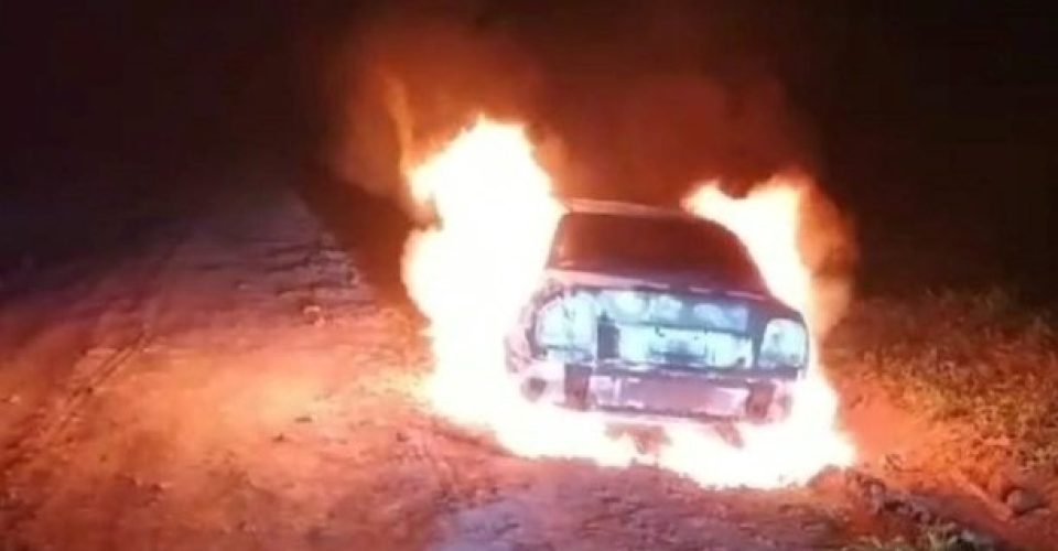 Divulgação/ Porã News