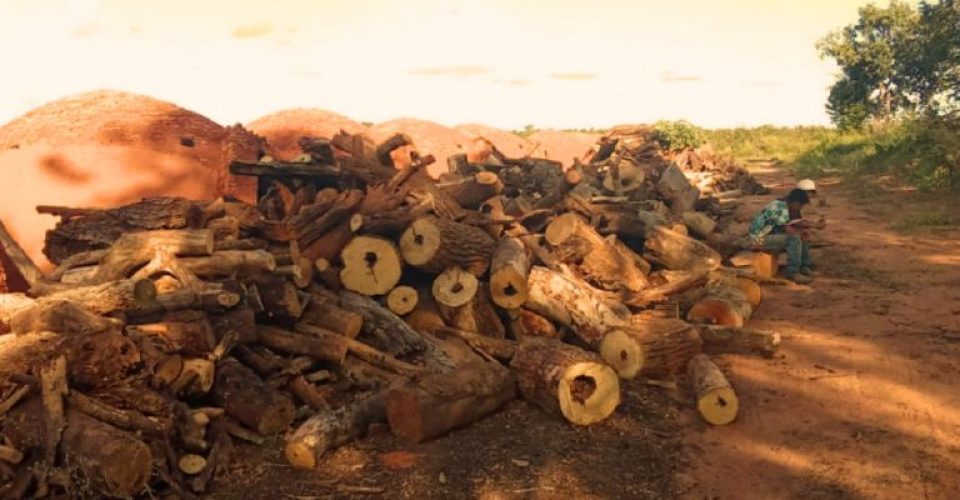 Foto: Divulgação/MPT-MS