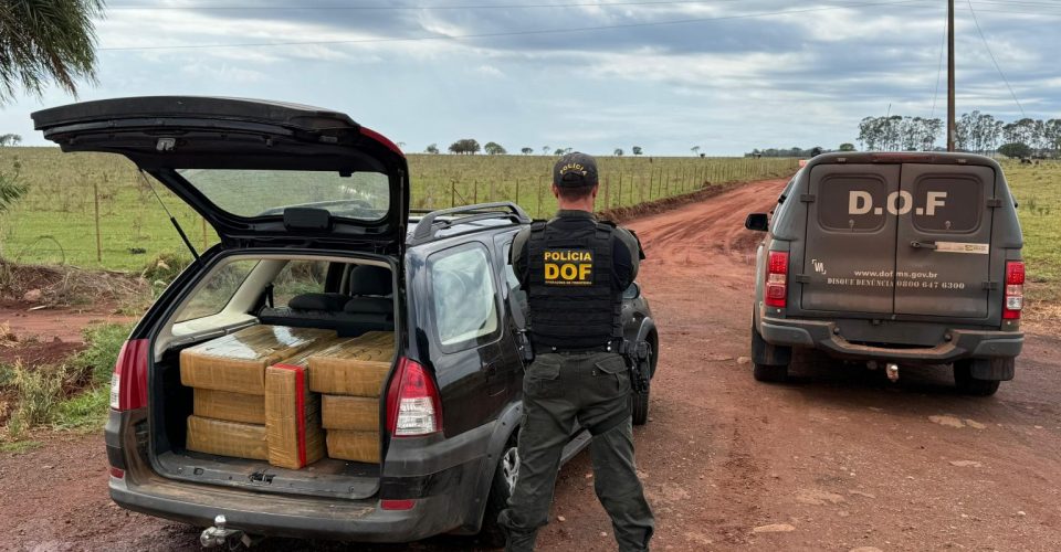 Foto: Divulgação/DOF