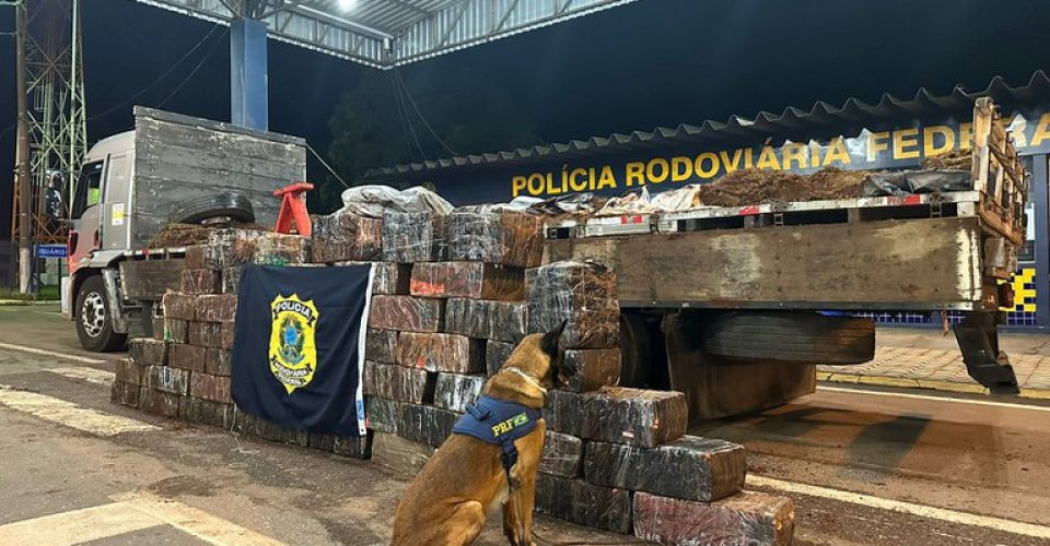 Divulgação: Polícia Federal/ MT