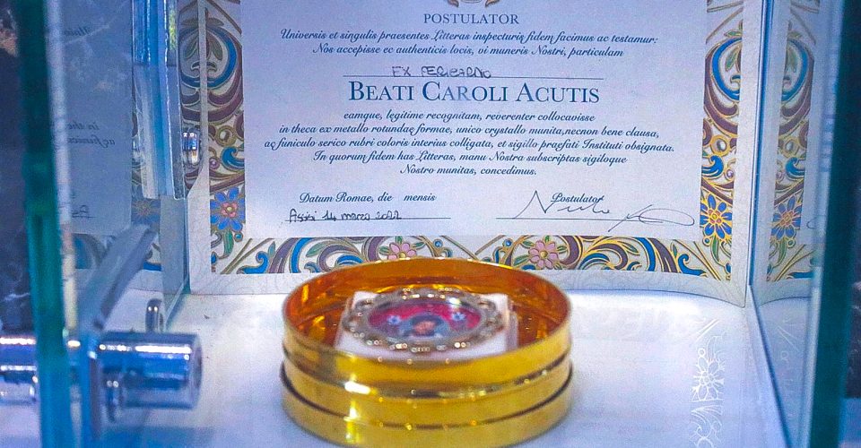 3eb76bb6-c0e5-4250-b148-eeb739236bc8