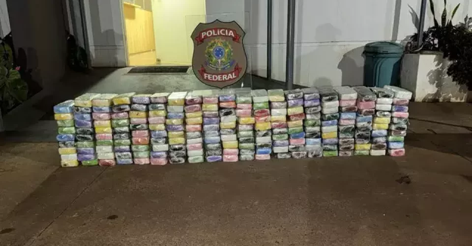 cocaína apreensão