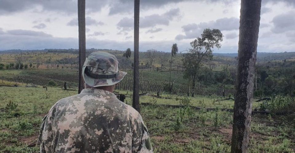 Foto: Divulgação/Polícia Federal