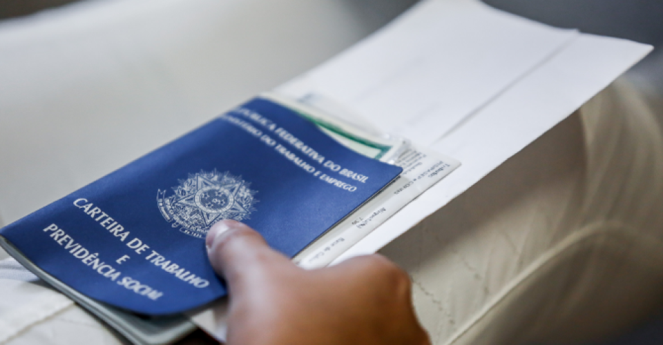 carteira de trabalho emprego