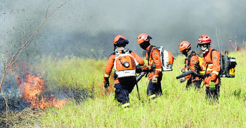 Especialistas pontuam
que estiagem tem
contribuído para maior
número de incêndios (Foto: Divulgação)