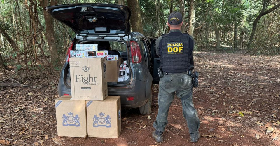 Foto: Divulgação/DOF